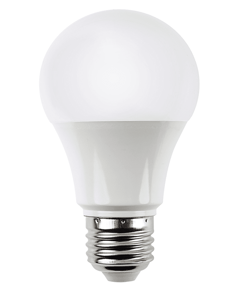 Bulb 12V